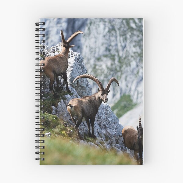 Item preview, "Three" designed and sold by Andreas Koerner.