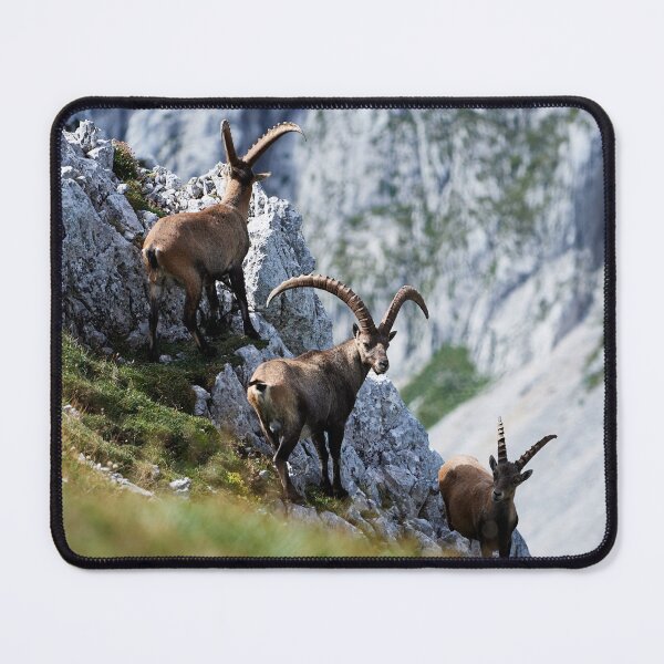 Item preview, "Three" designed and sold by Andreas Koerner.
