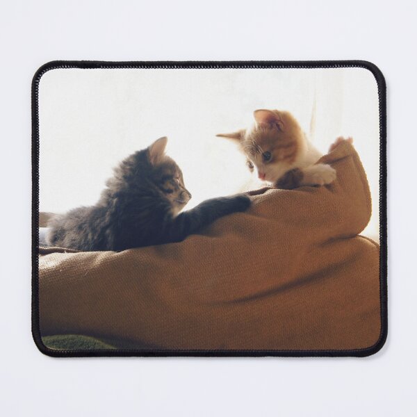 Item preview, Two kittens playing king of the hill designed and sold by riku05830.