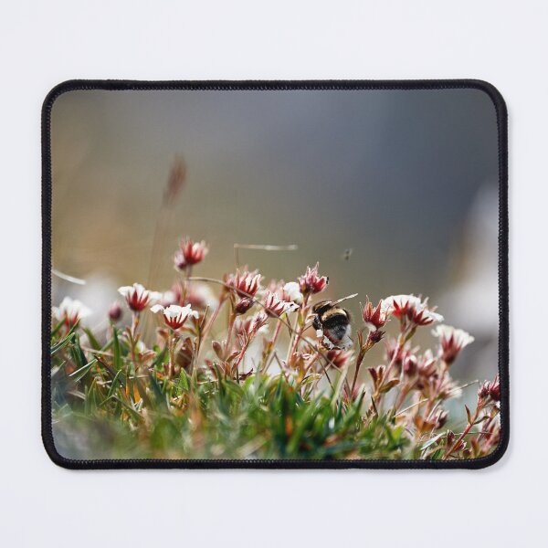 Item preview, "Bee in the Heights" designed and sold by Andreas Koerner.