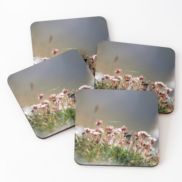 Item preview, "Bee in the Heights" designed and sold by Andreas Koerner.