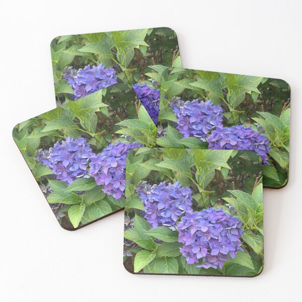 Item preview, Backyard Blue Hydrangeas in Summertime  designed and sold by JE Hough.