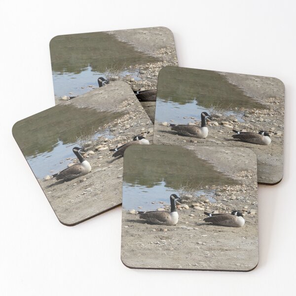 Item preview, Time to Wake Up Sweetie! designed and sold by heatherfriedman.