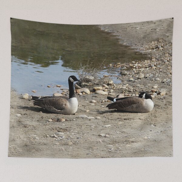 Item preview, Time to Wake Up Sweetie! designed and sold by heatherfriedman.