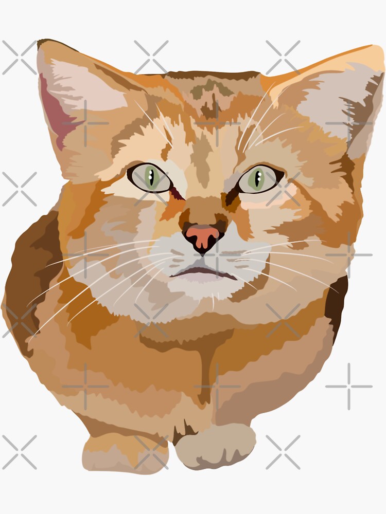 S is for Sand Cat ,Sand Cat – Small Desert Wild Cat Wildlife