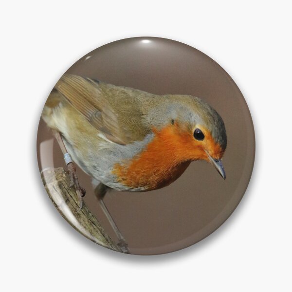 Item preview, Brandon Marsh Robin designed and sold by Jellycandy.