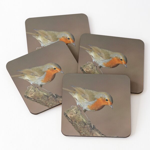 Item preview, Brandon Marsh Robin designed and sold by Jellycandy.