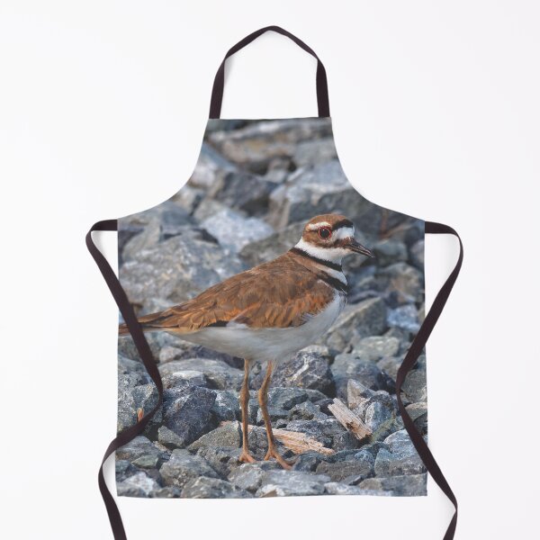 Item preview, Beautiful Killdeer at the Beach designed and sold by walkswithnature.