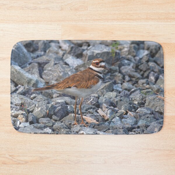 Item preview, Beautiful Killdeer at the Beach designed and sold by walkswithnature.