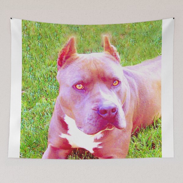 Item preview, Pit Bull Dog designed and sold by Carlo Varo.