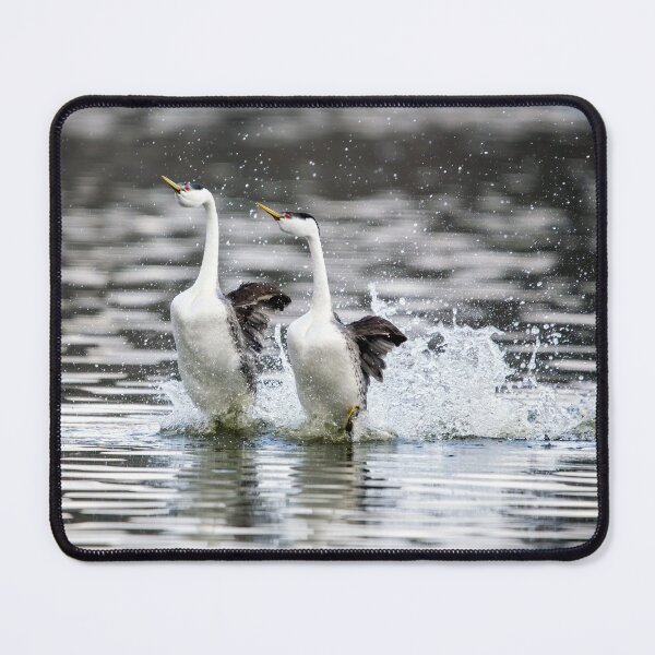 Item preview, Rushing Grebes designed and sold by CarolM.