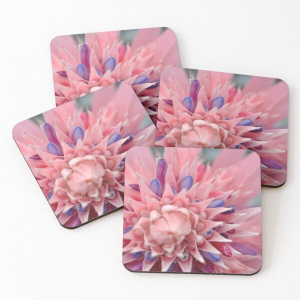 Item preview, Starburst in Pink and Lavender - Botanical Photography - Original Abstract Fine Art designed and sold by SageFolio.