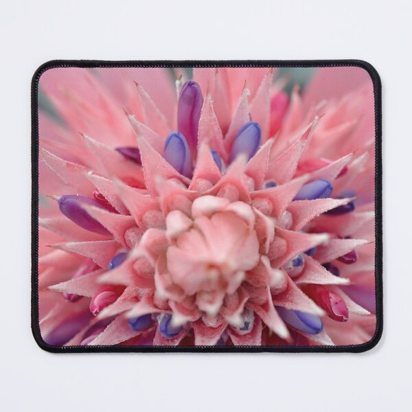 Item preview, Starburst in Pink and Lavender - Botanical Photography - Original Abstract Fine Art designed and sold by SageFolio.