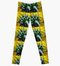 Details Leggings