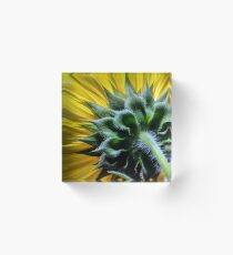 Details Acrylic Block