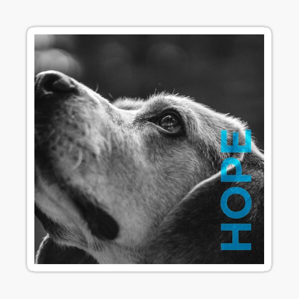 Item preview, HOPE - DOG designed and sold by Petwerds.
