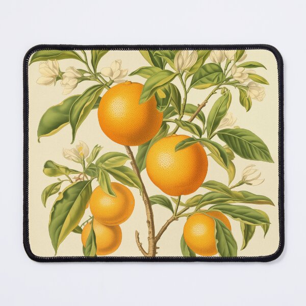 Item preview, Tangerine designed and sold by veravervain.