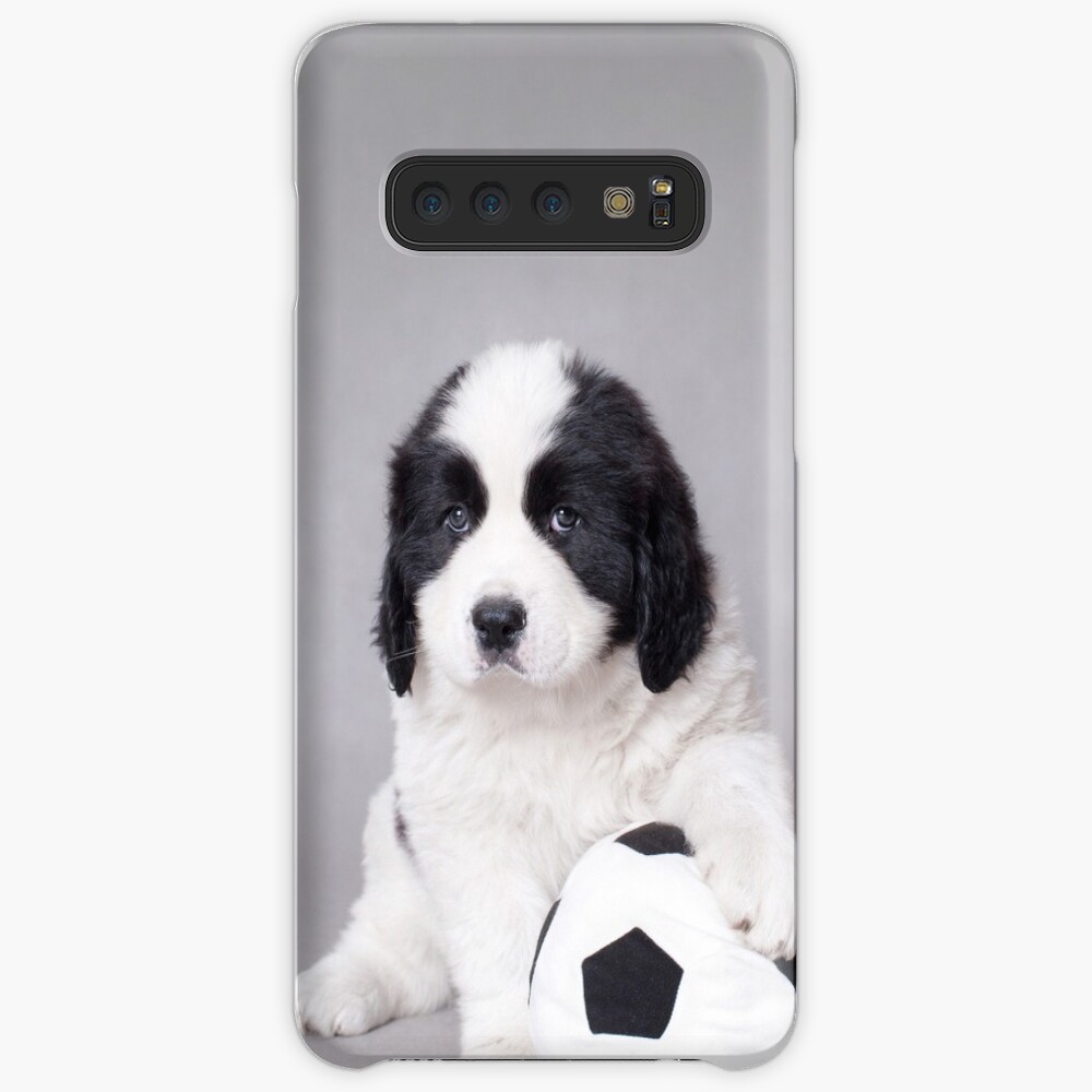 puppy with soccer ball