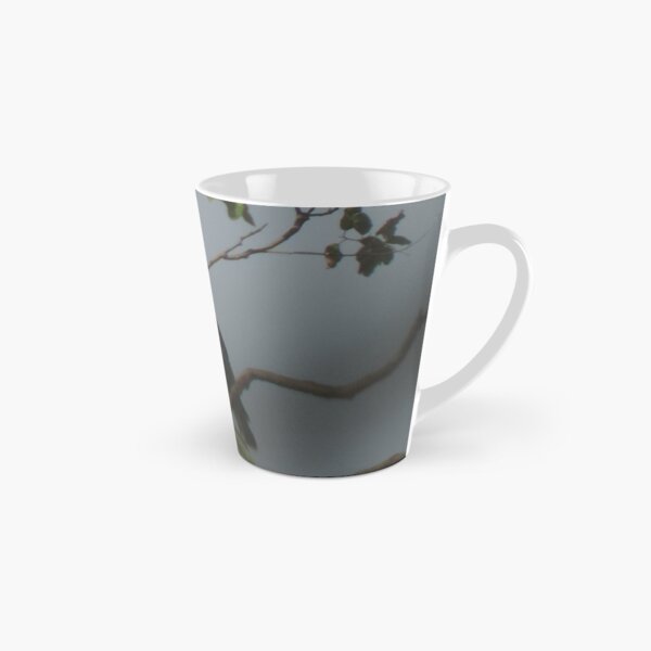 Beautiful Hawk Tall Mug