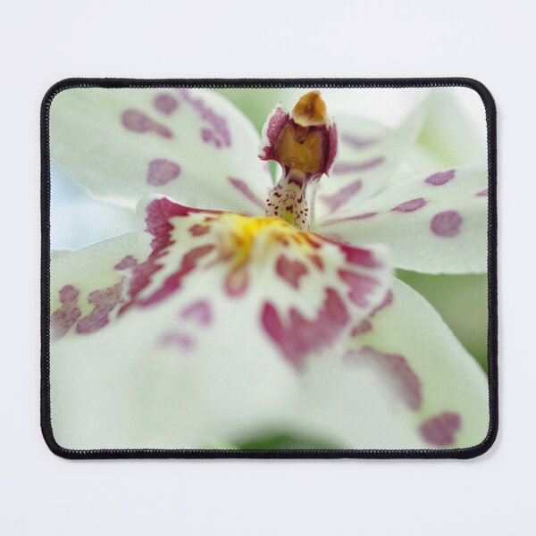 Item preview, Cloud Chariot in White and Fuchsia - Botanical Photography - Original Abstract Fine Art designed and sold by SageFolio.