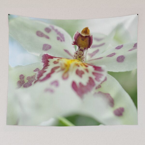 Item preview, Cloud Chariot in White and Fuchsia - Botanical Photography - Original Abstract Fine Art designed and sold by SageFolio.