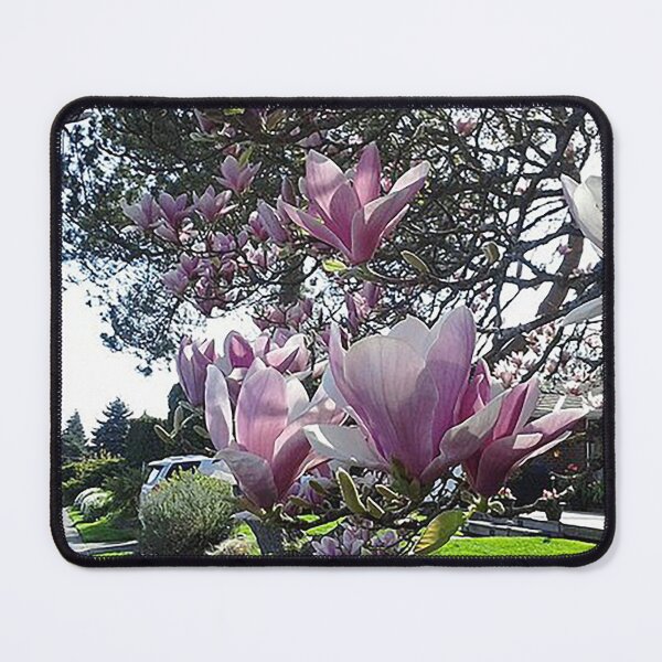 Item preview, Streetside Magnolias in Full Bloom designed and sold by David Trotter Fine Art.