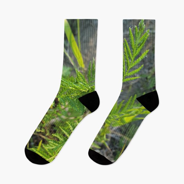 Item preview,  Leaves designed and sold by Djjin66.