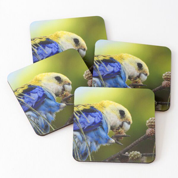 Item preview, Pale-headed Rosella enjoying a snack designed and sold by Mark Grimsley.