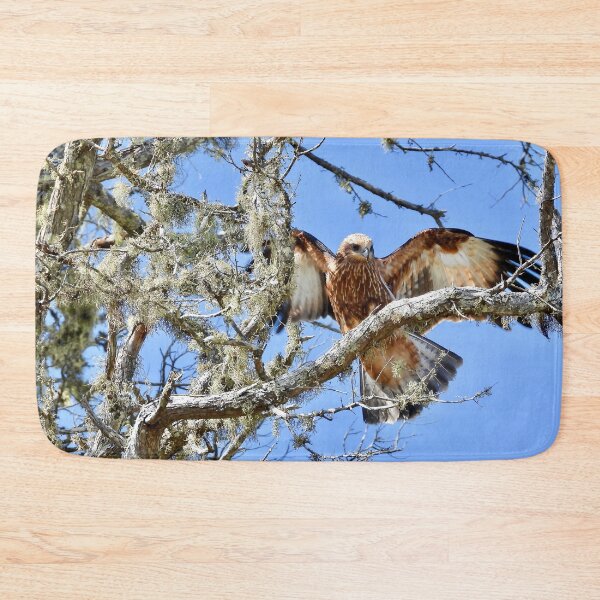 Item preview, Bird of prey wings out Dundowran Beach  designed and sold by Mark Grimsley.