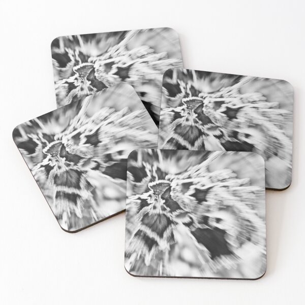 Item preview, Zoom Burst Black and White designed and sold by Linda Bianic.