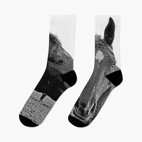 Item preview, Black and White Horse Couple designed and sold by KingdomWildlife.