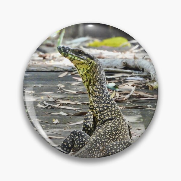 Item preview, Goanna owning the pathway  designed and sold by Mark Grimsley.