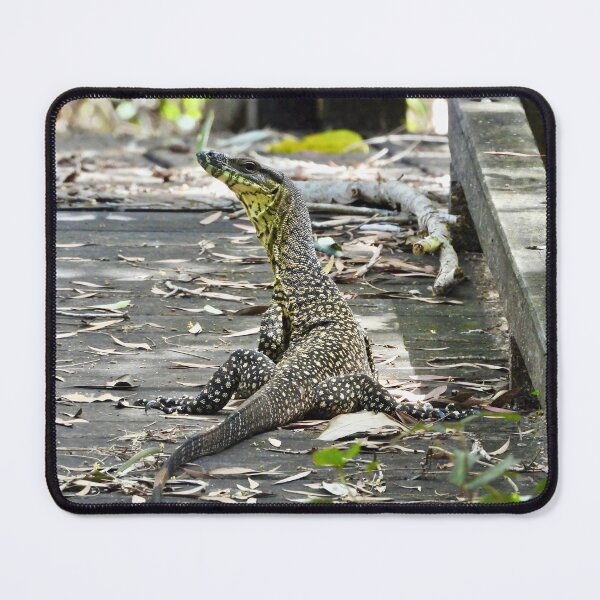 Item preview, Goanna owning the pathway  designed and sold by Mark Grimsley.