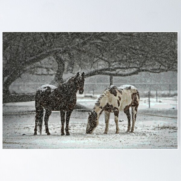 Horses Under The Snow Poster