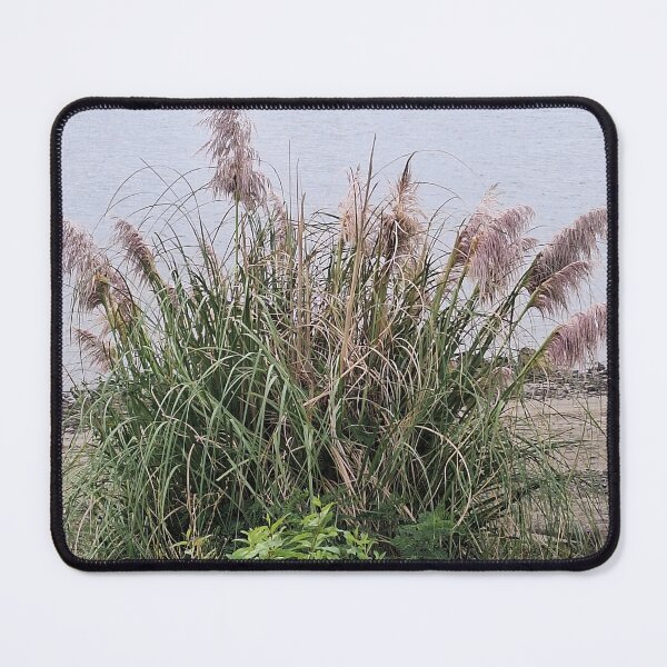 Item preview, Pampas Grass by Columbia River in Vancouver, WA designed and sold by Dr. Gabriella Korosi.