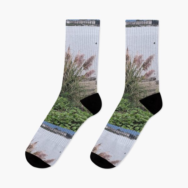 Item preview, Pampas Grass by Columbia River in Vancouver, WA designed and sold by Dr. Gabriella Korosi.