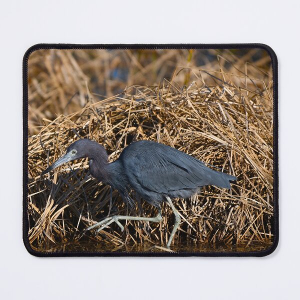Item preview, Little Blue Heron designed and sold by CloserToTheArt.