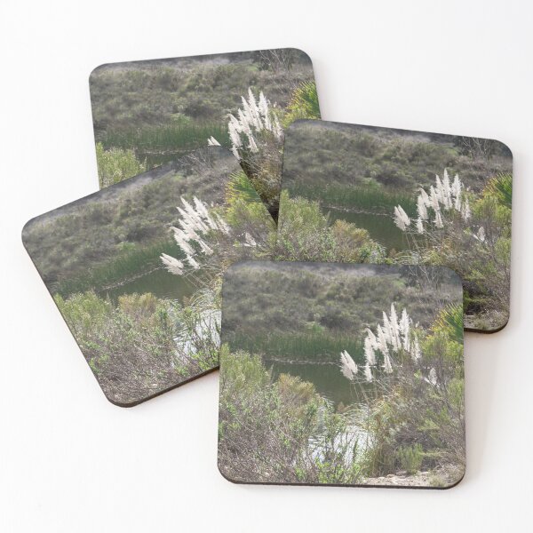 Item preview, Pampas Grass At Lake Murray designed and sold by heatherfriedman.