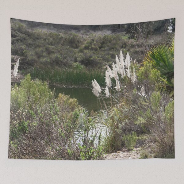 Item preview, Pampas Grass At Lake Murray designed and sold by heatherfriedman.