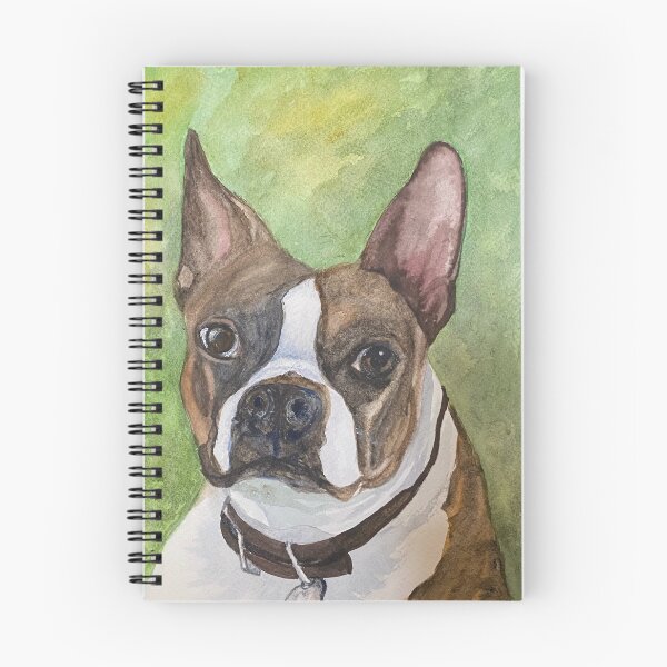 Item preview, Bauer the Boston designed and sold by Robin Trafford-McLean.