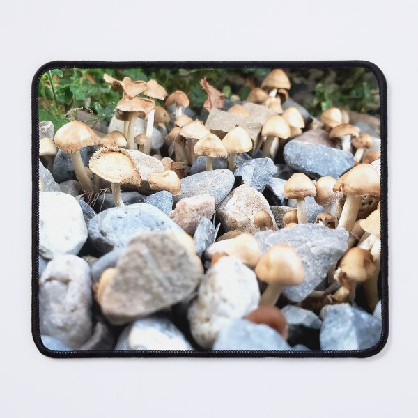 Item preview, Sprouts  designed and sold by OnigiriSuiko.