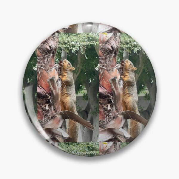 Item preview, A Squirrels  Lifestyle :0) designed and sold by NatureSoReal.