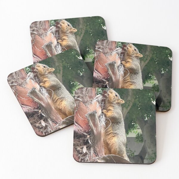 Item preview, A Squirrels  Lifestyle :0) designed and sold by NatureSoReal.