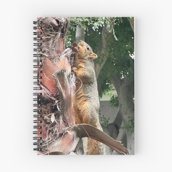 Item preview, A Squirrels  Lifestyle :0) designed and sold by NatureSoReal.