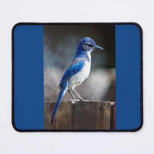 Item preview, Scrub Jay designed and sold by CarolM.
