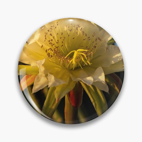 Item preview, The Beauty of Natural Light (11) designed and sold by Wolf Sverak Photography.