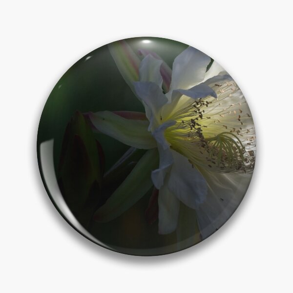 Item preview, The Beauty of Natural Light (7) designed and sold by Wolf Sverak Photography.
