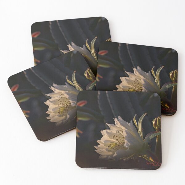 Item preview, The Beauty of Natural Light (6) designed and sold by Wolf Sverak Photography.