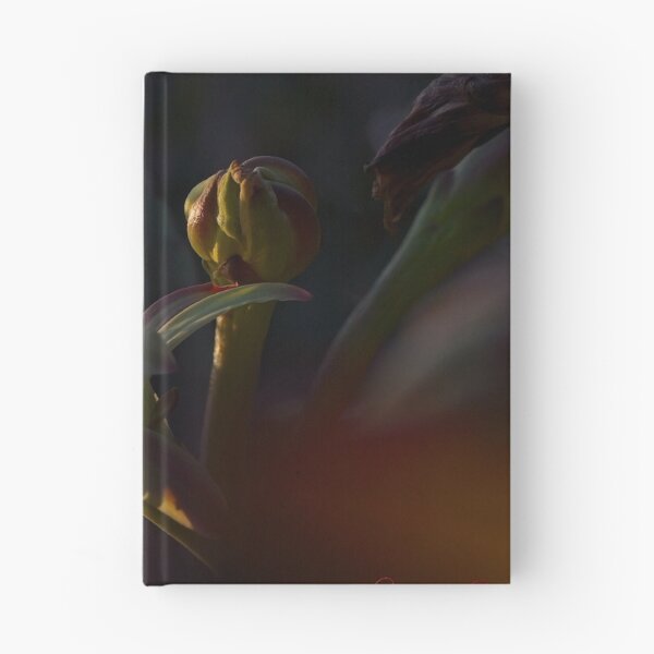 Item preview, The Beauty of Natural Light (5) designed and sold by Wolf Sverak Photography.