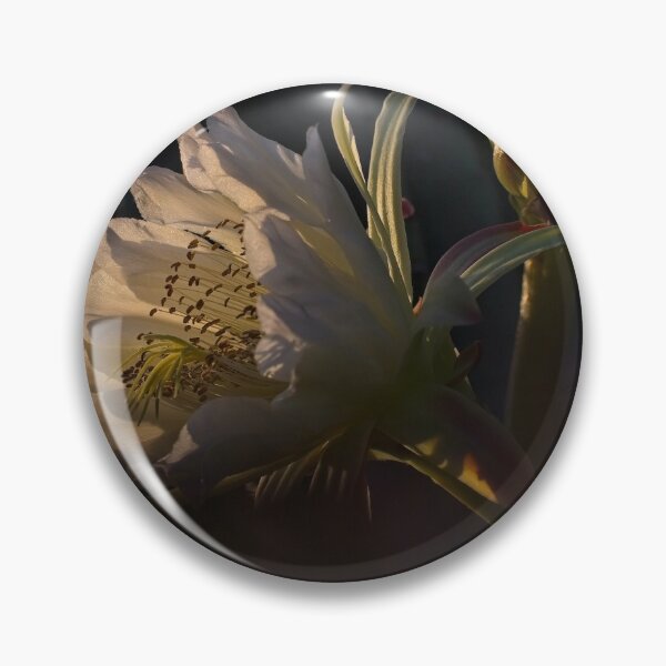 Item preview, The Beauty of Natural Light (1) designed and sold by Wolf Sverak Photography.